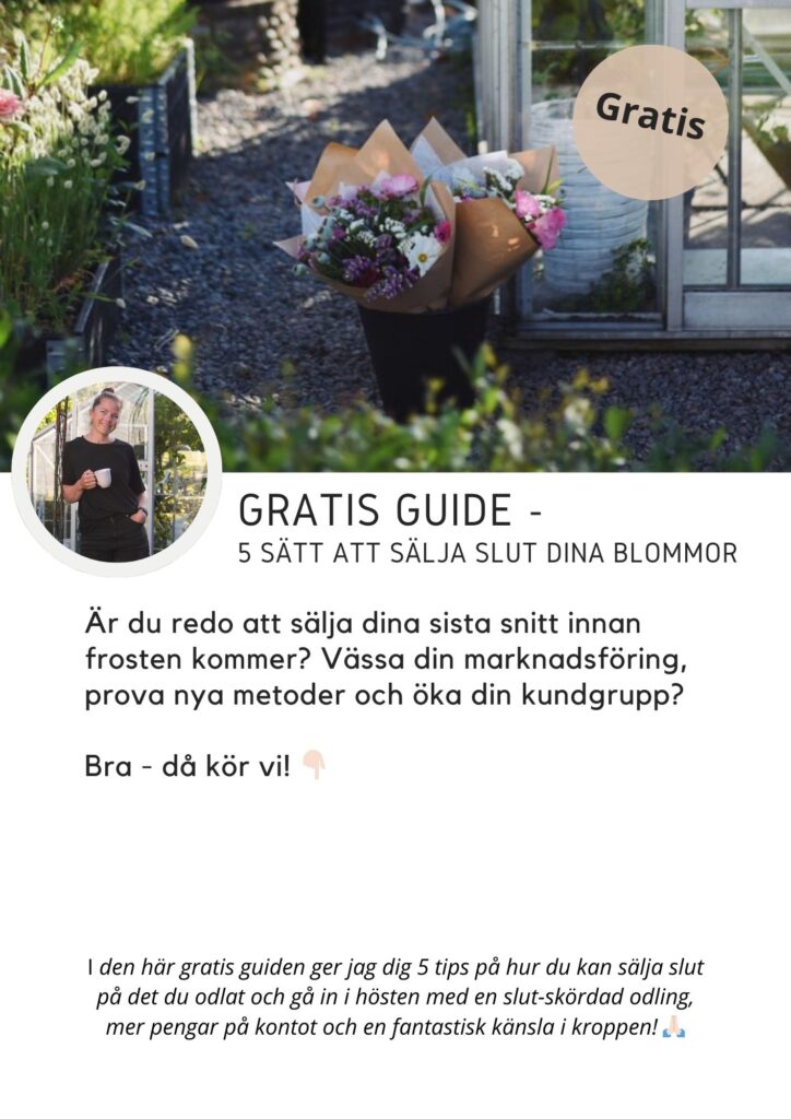 gratis guide i att sälja buketter som abonnemang bukettabonnemang