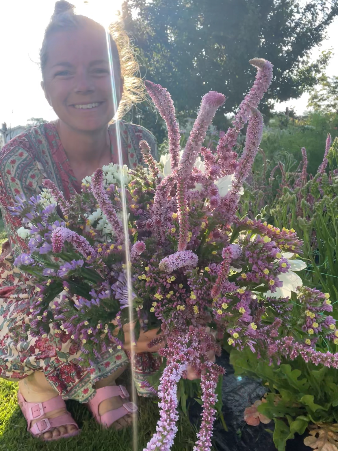 Risp är en lättodlad sommarblomma som borde finnas i alla snitt odlingar och är en fantastisk blomma att använda i buketter. långt vasliv och användbar även som torkad
